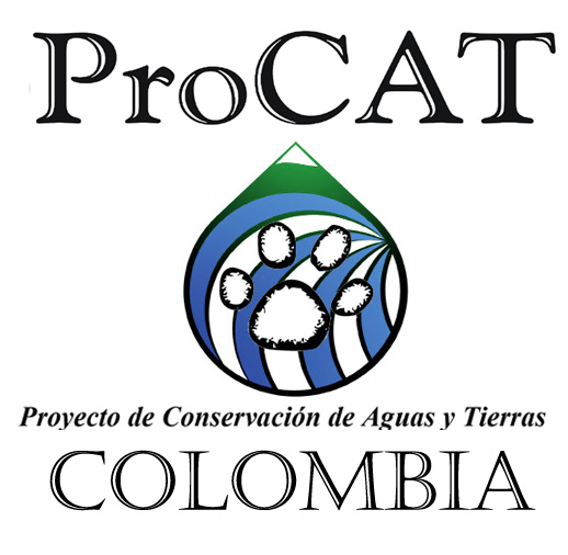 PROCAT